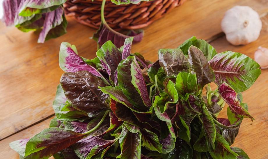 苋菜到底有什么营养价值呢?它比较适合哪些人食用?