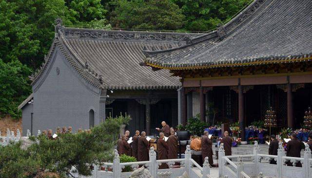 上海有一寶物寺院 ，坐南朝北，真菌種類珍貴，</s>遊人到此簽到
！