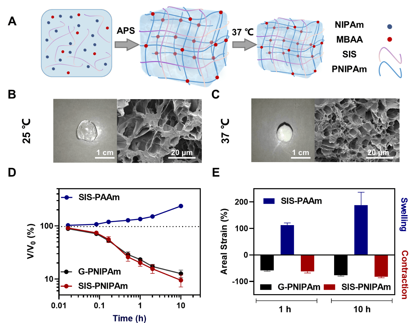 博輝瑞進 sis 水凝膠研究成果被《journal of materials chemistry b