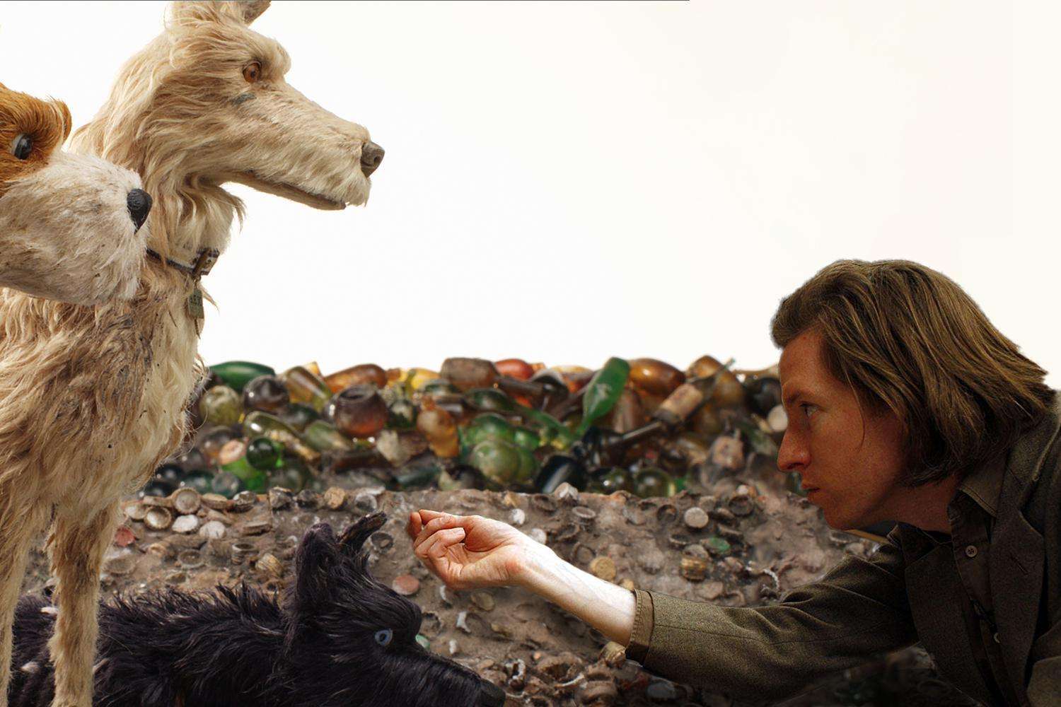 香港"犬之岛",专门遗弃狗狗的5座孤岛,如今变成什么样了!