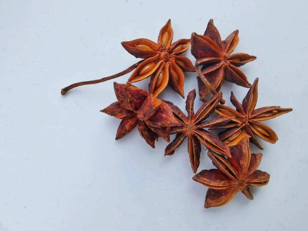 梧州藤县八角大丰收,这个镇的村民又有一笔大收入_古龙镇_种植_年产值