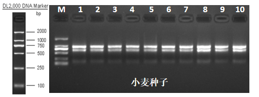 RNA质量差,真的就不能建库?_样品_进行_污染