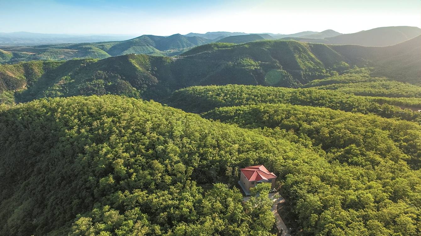 共护绿色渭南~_森林_城市_国家