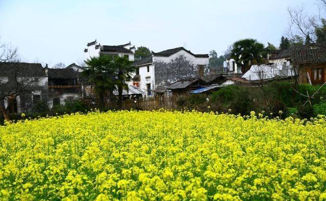 江西有一被忽视的古村，还是4A级，距离婺源县城12公里，自驾首选