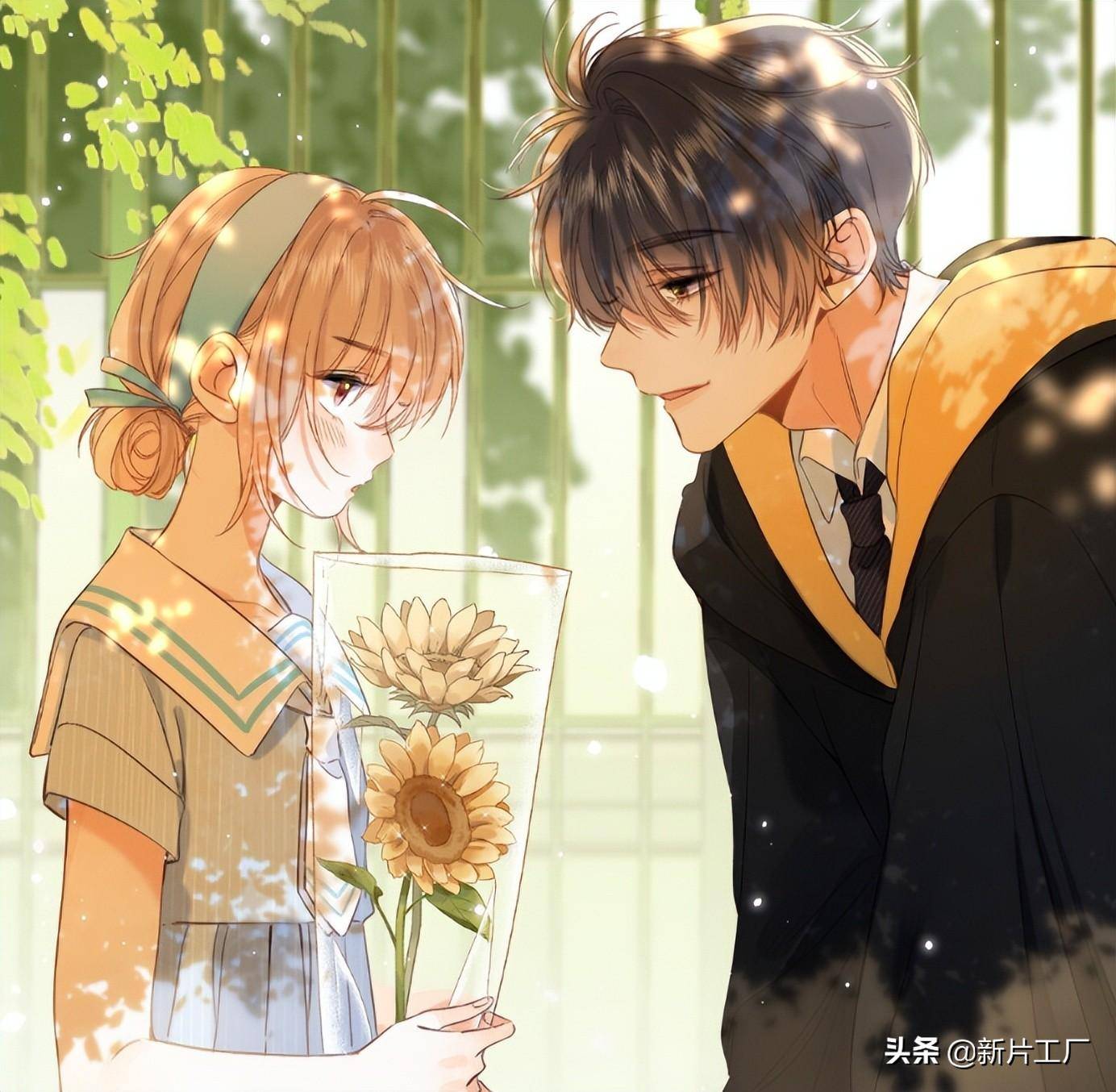 将拍,女主属意赵露思,看完原著,网友表示快跑_段嘉许_桑稚_争议