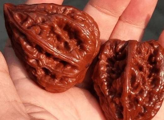 图解文玩核桃的品种,种类和特点_产量_皮质_纹路