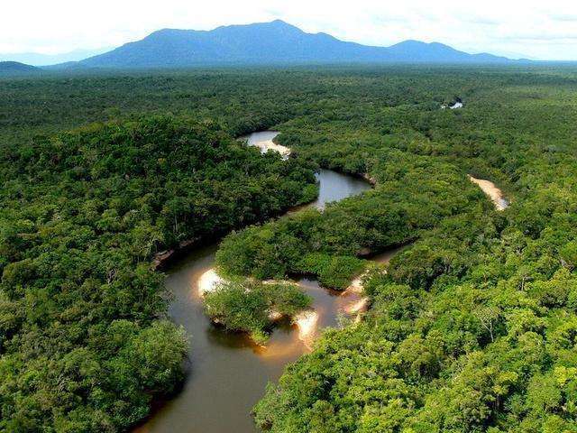 亚马逊雨林看起来是绿色天堂，实则是人类禁区，到底有多恐怖？
