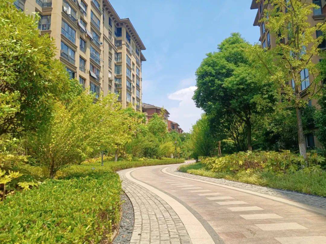 绿化消杀正当时,华广物业在行动_树木_小区_业主