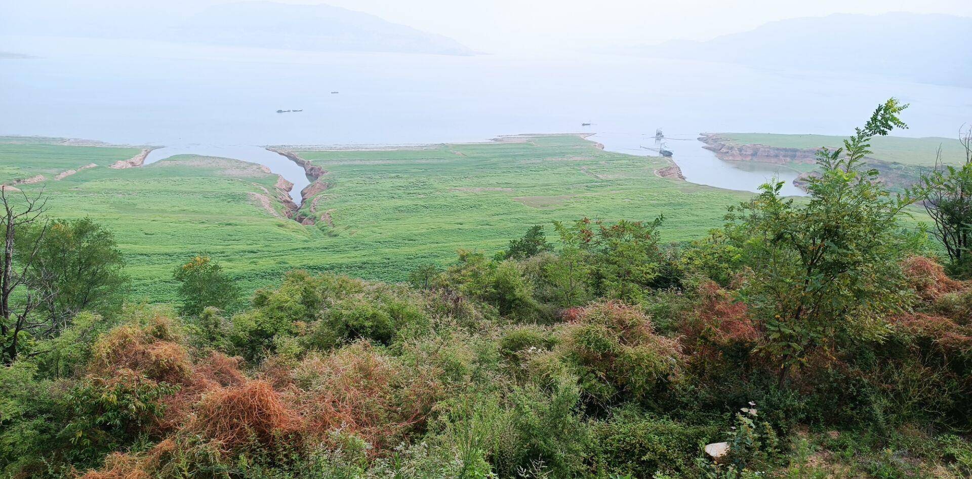 三伏天我在黃河小浪底釣魚,晚上不小心撿到鯉魚,釣到大鯽魚_挖掘機