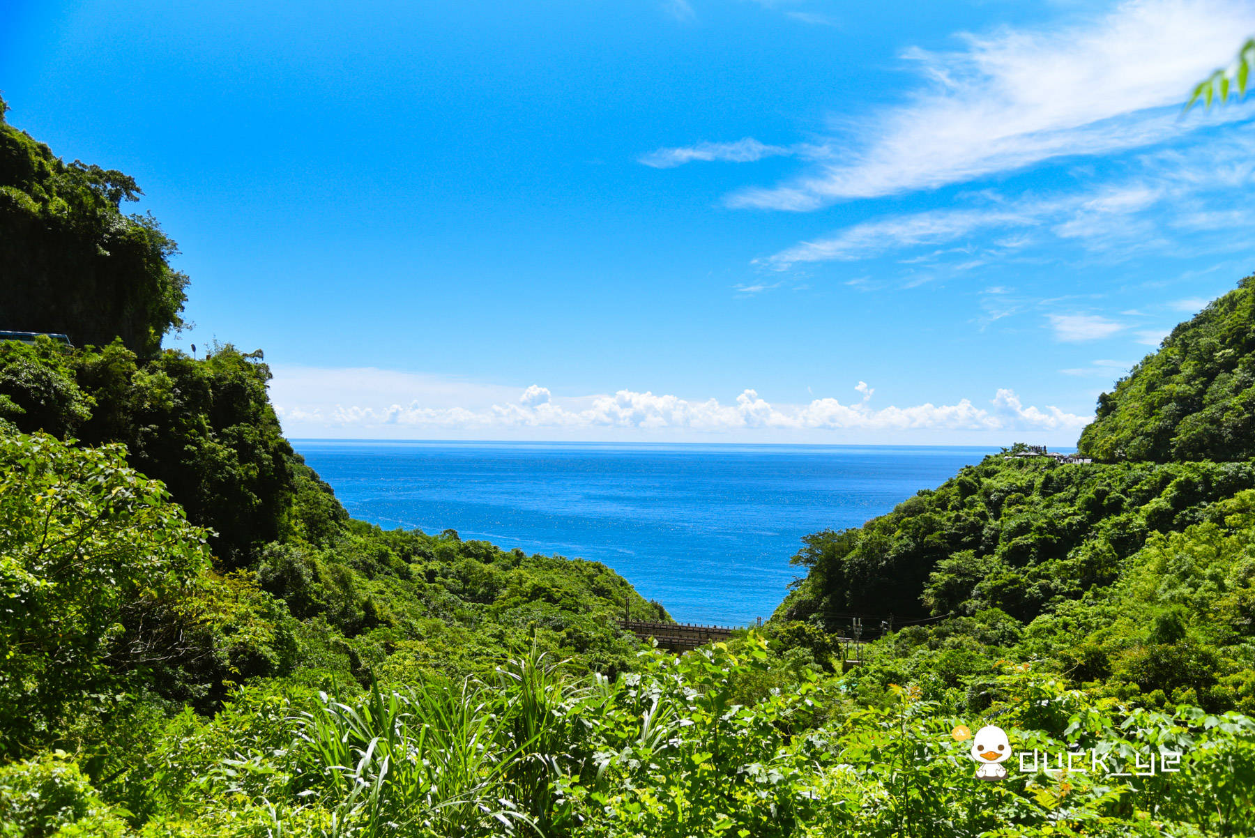 台湾八大奇景之一，号称世界第二大断崖，高山直入太平洋，太美了