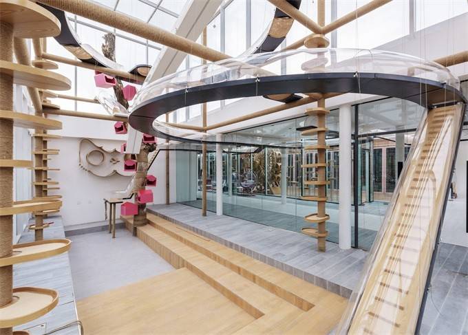 北京延庆大树与猫精品民宿,10个院子构成,艺术猫公馆与生态农场_大