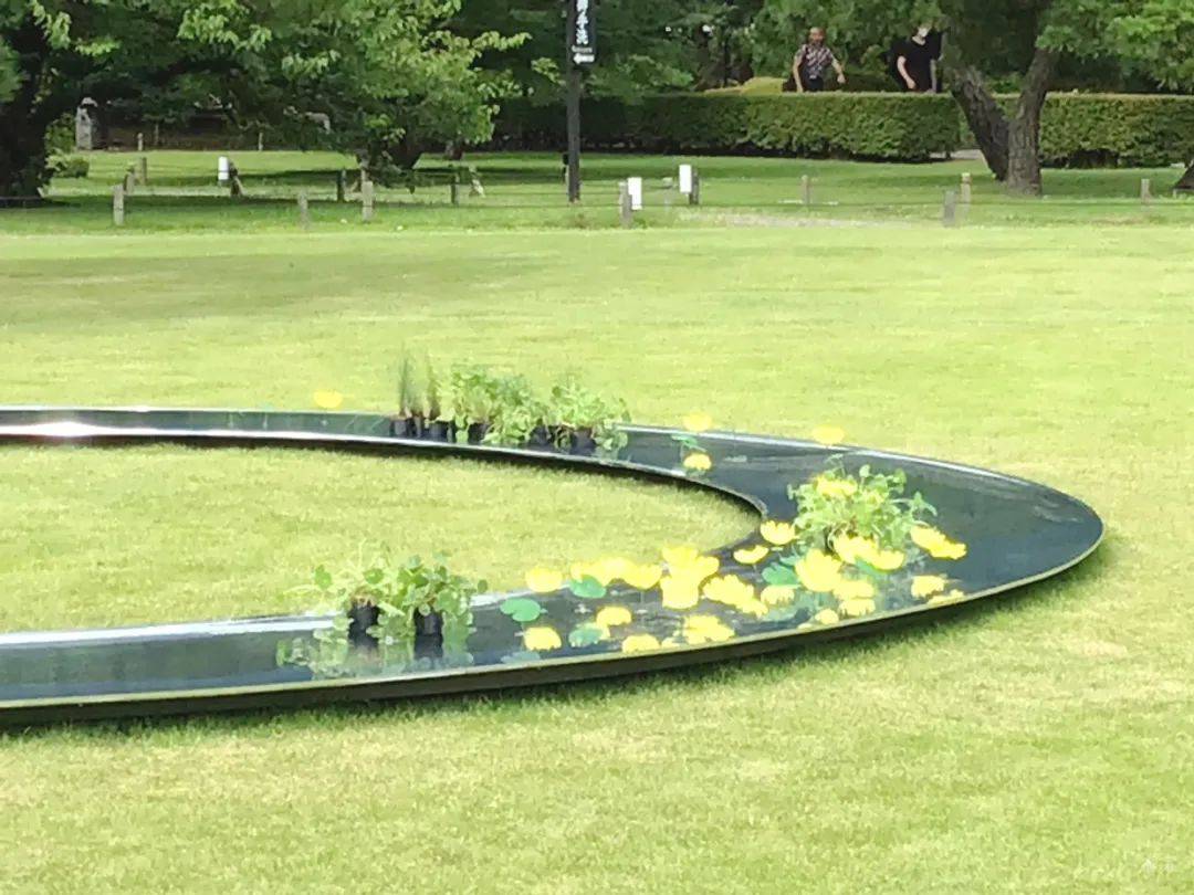 妹岛和世谈新作《水明》:让一湾曲水映照日月星辰_装置_庭园_kazuyo