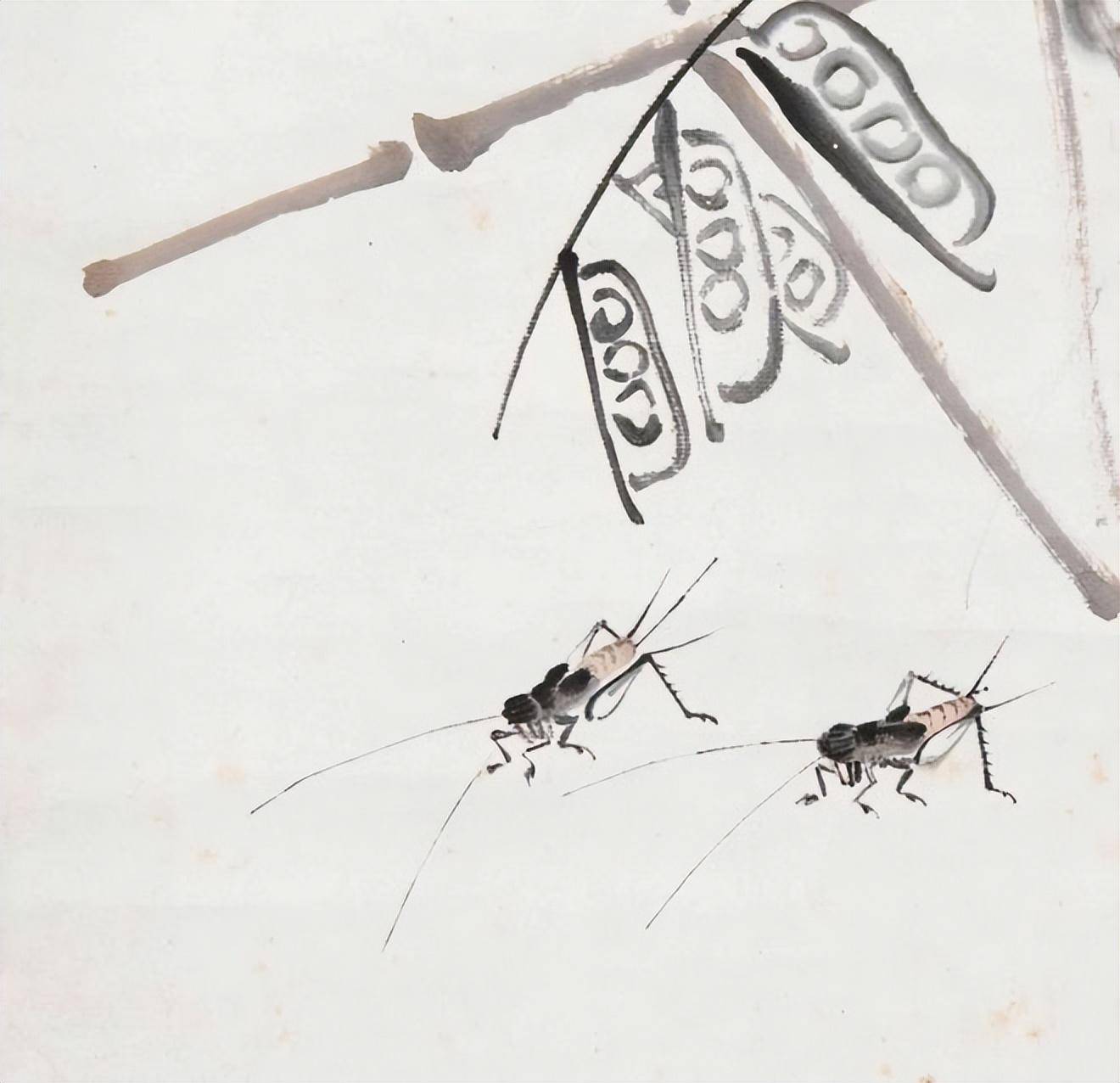 如何鉴定齐白石《螳螂》,齐白石书画院院长齐良芷弟子汤发周说,看螳螂