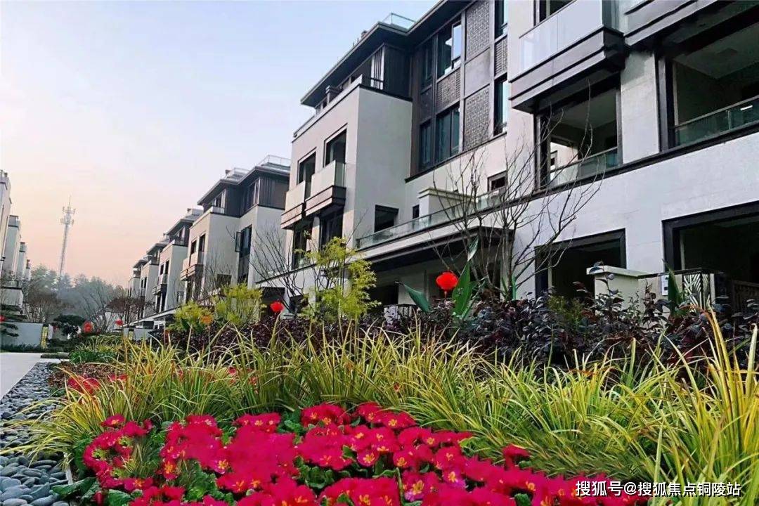 一年连夺三地——安吉祥生·东方樾花园,安吉祥生·玖溪花园,安吉祥生