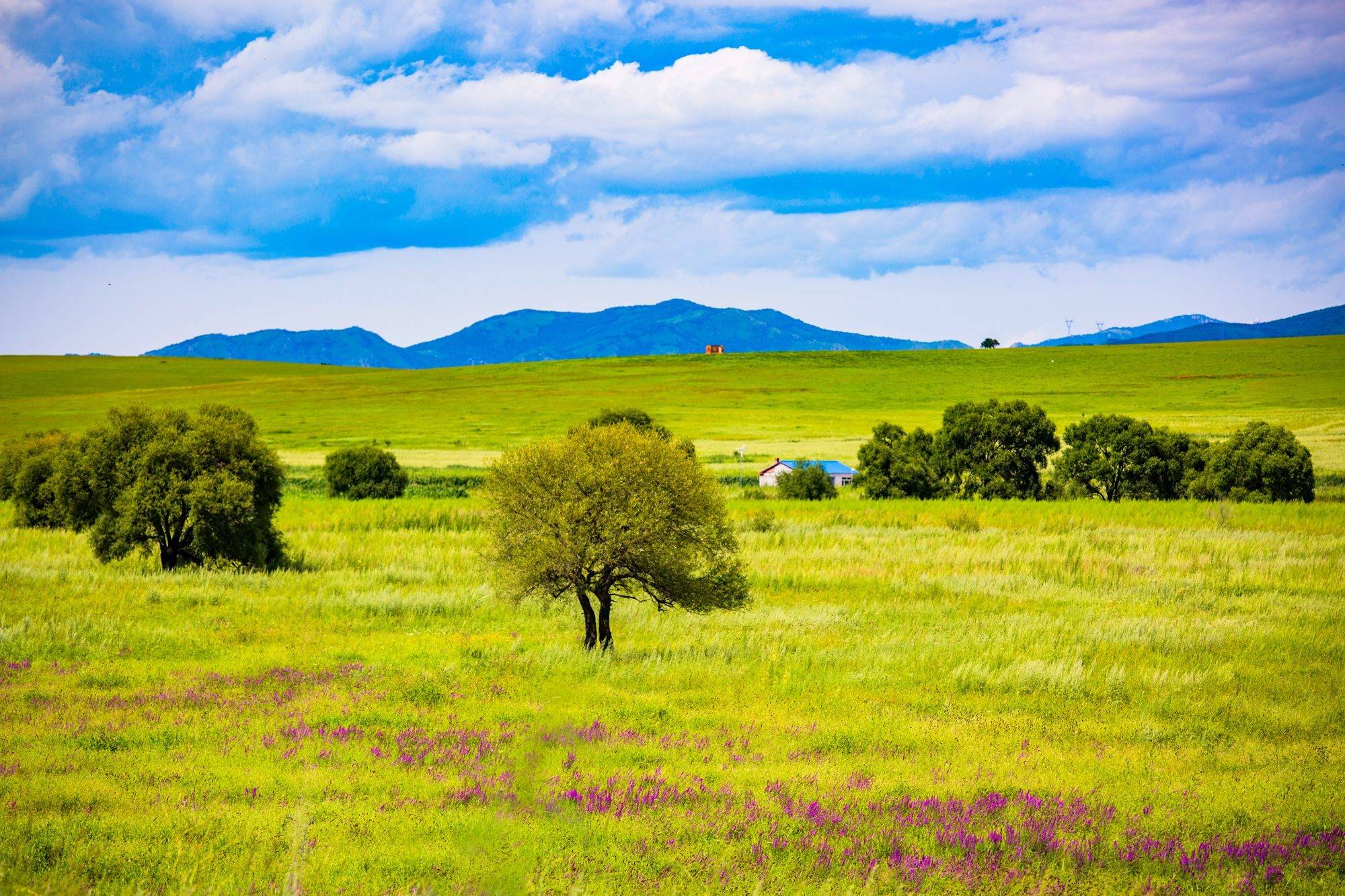 内蒙古兴安盟有一处满族民族乡，风景秀美，这里有独特的满蒙风情