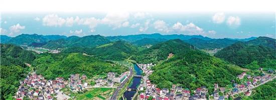 柯桥区稽东镇:绘出共富"金"画卷_项目_乡村_香榧