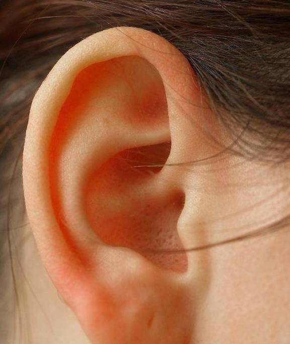 最常听说的就是耳朵大有福气这样的说法,那么为何会有这样的说法呢?