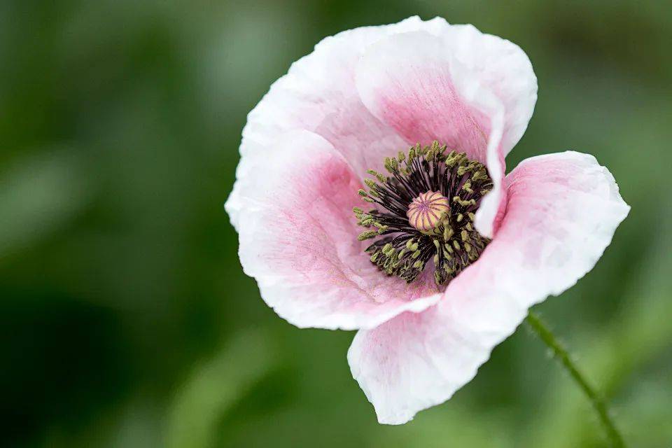 价格触底大屏加速，但彩电市场仍难逃低迷颓势-家电圈官网