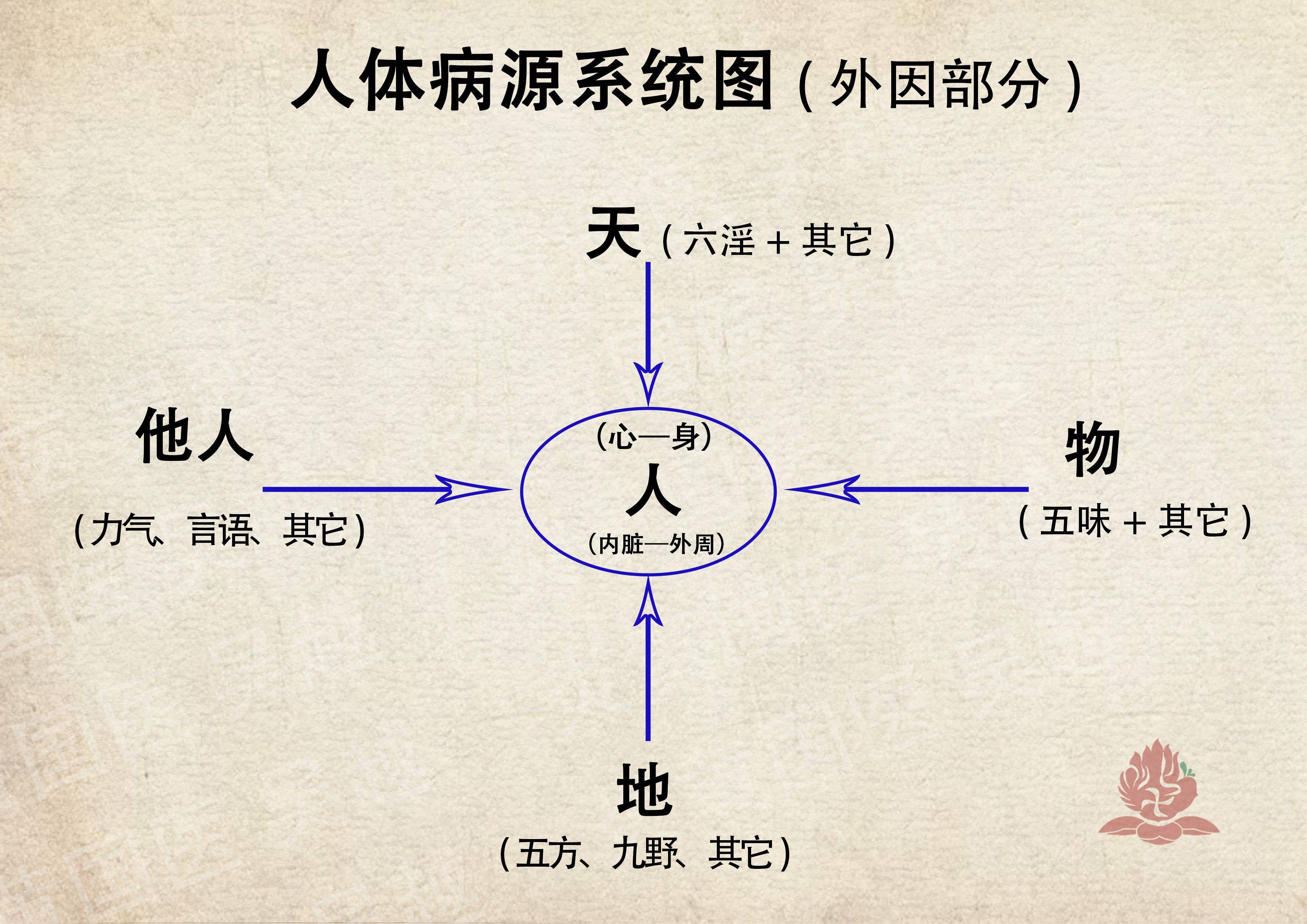 人体各部位构件的名称(素问要旨论)_动脉_生者_膀胱