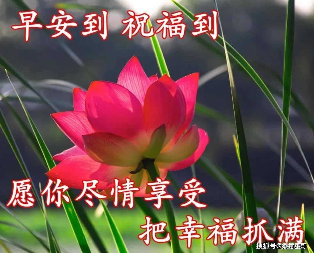 12月24日新的一天非常漂亮的早上好图片 简短的早安问候语_祝福_朋友