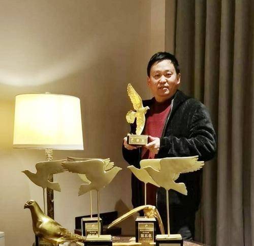 徐进和他的速度型赛鸽_鸽子_南京_成绩