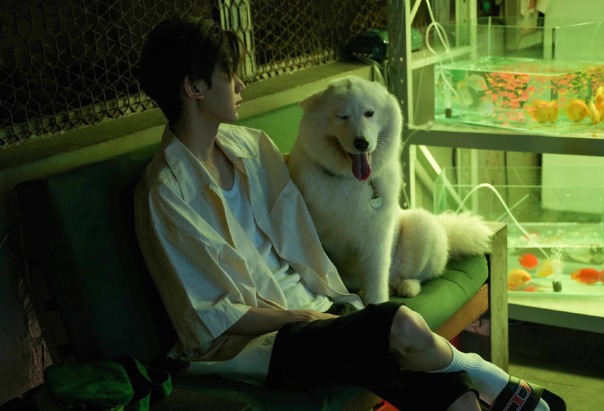 她是王源新歌mv女主,21岁长相神似郑秀晶,还是表演系的学生_黄思_剧中