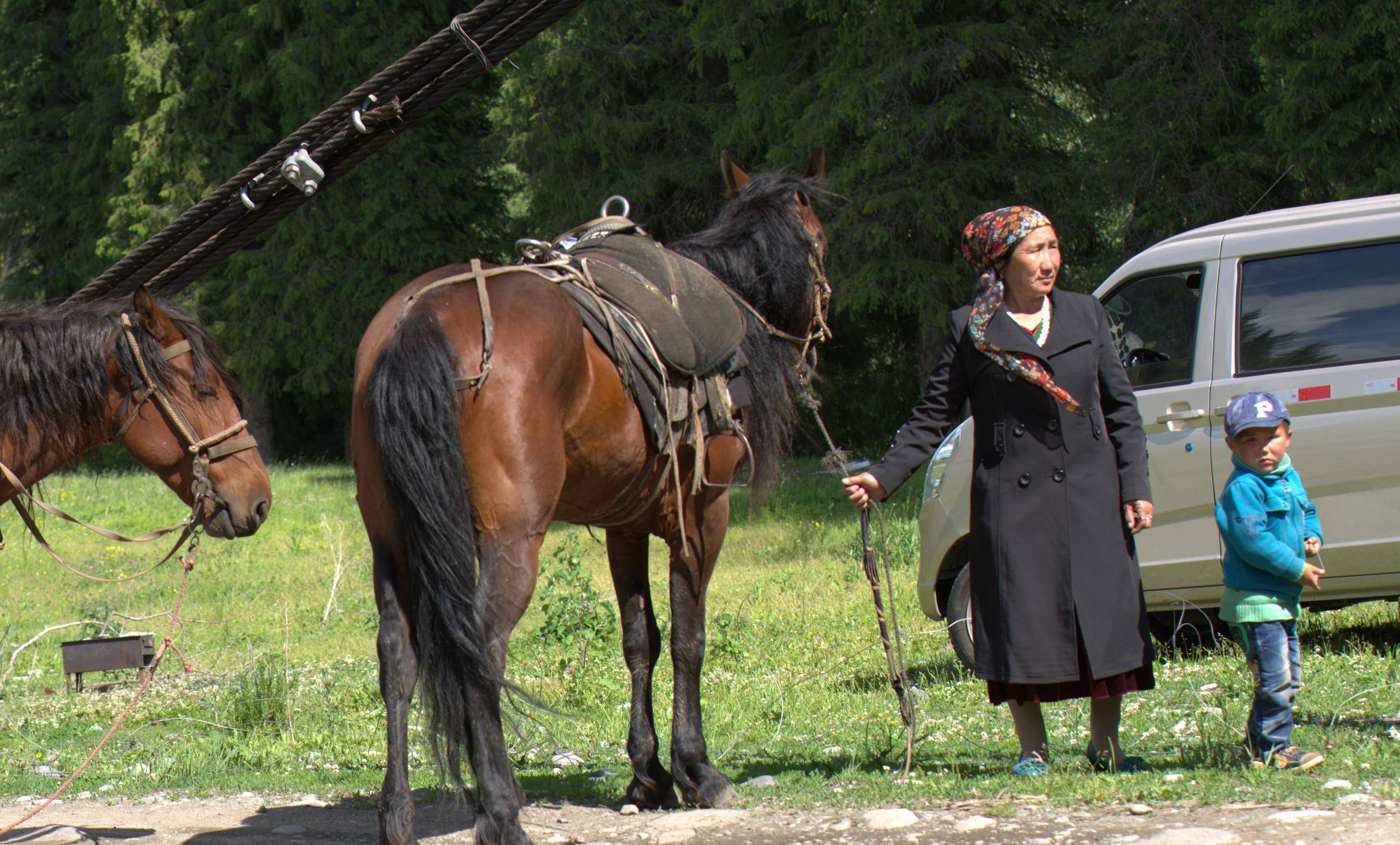 在百里画廊唐布拉送给我们"礼物"之后,偶遇转场的哈萨克牧民_地方
