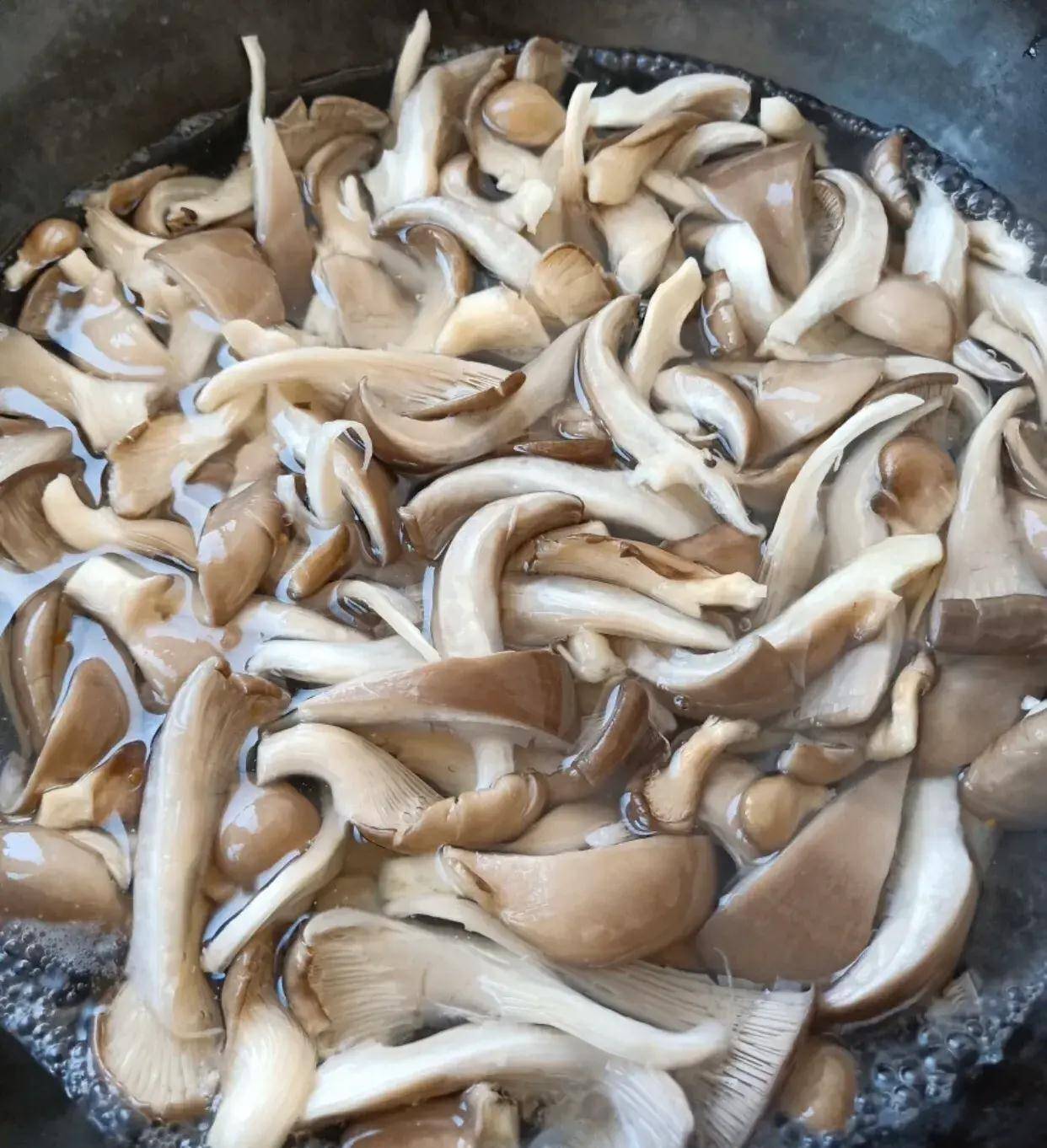 探险家教你这么炒平菇,简单好做鲜嫩爽滑_蒜苗_干辣椒_做法