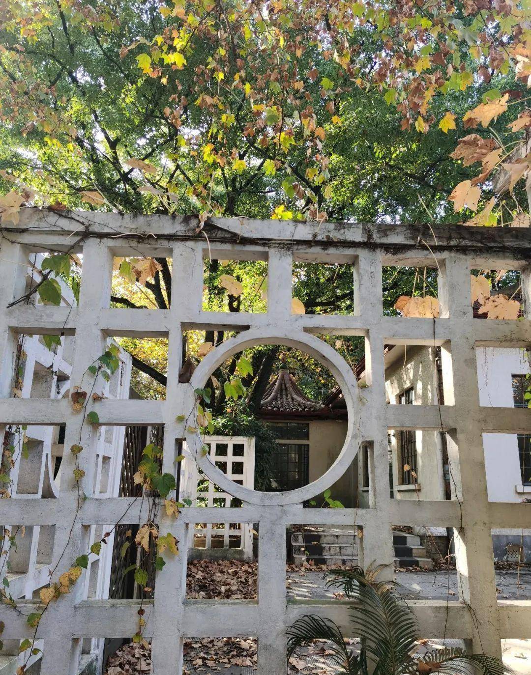 上海竟有座隐世小岛,日式风情满满,光阴仿若停留在30年前……_复兴岛