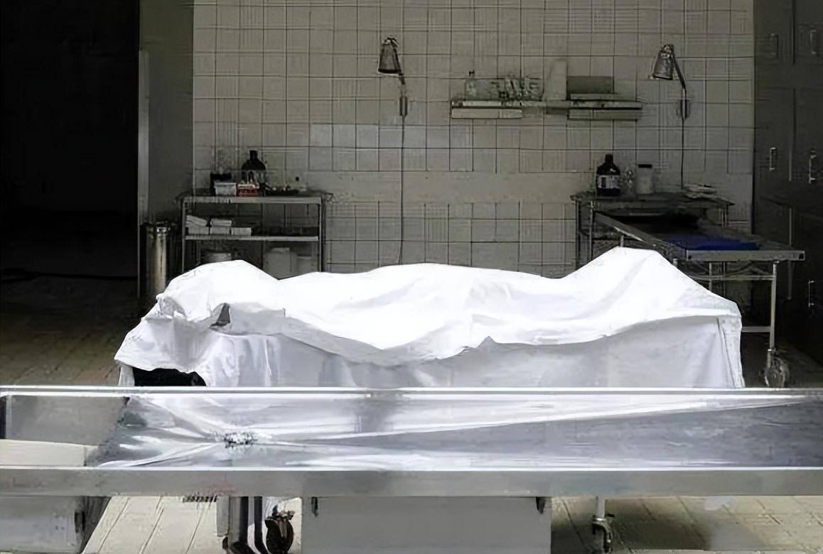 陈婷婷_女孩_夫妇