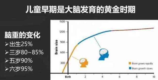 抓住孩子发育黄金期，ChildLife藻油DHA给孩子plus级营养