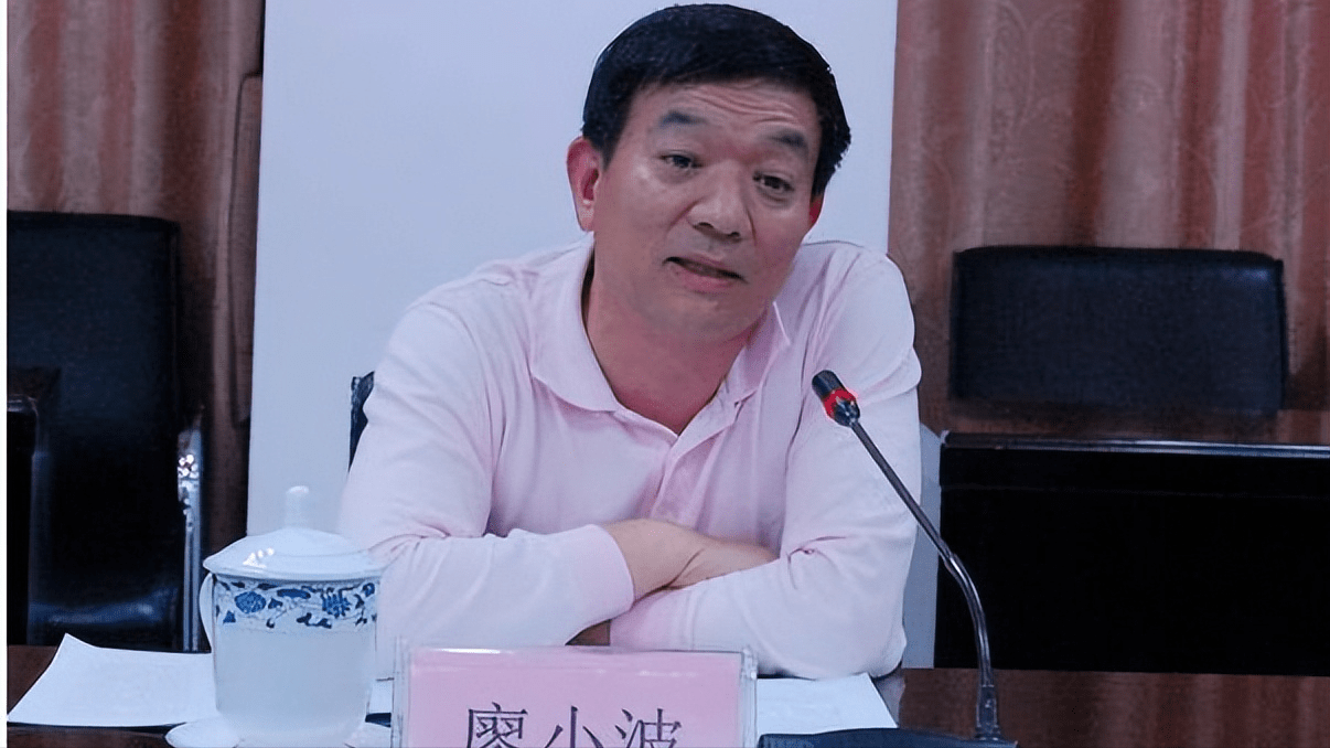 广西贪官廖小波落马记:疯狂敛财3221万,被捕后称钱没白拿_工作_升职
