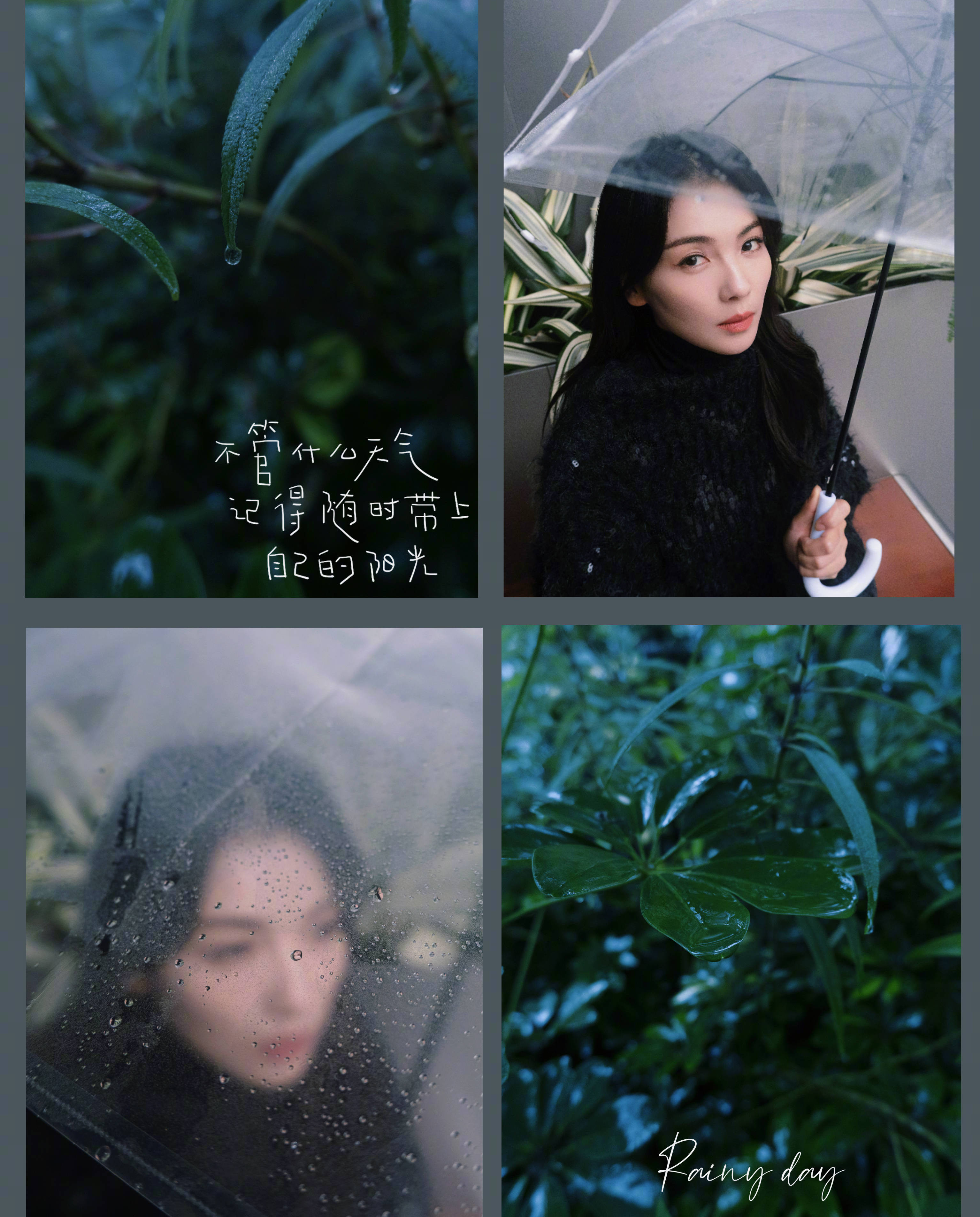 刘涛撑透明雨伞雨中漫步 微笑端坐尽显熟女气质-搜狐大视野-搜狐新闻