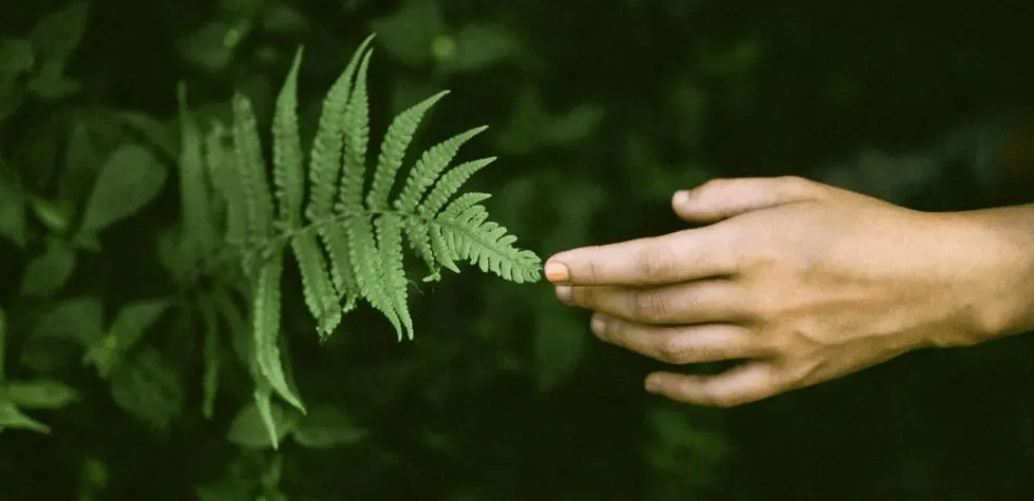 原创
            人体最诡异的器官，至今都无法解释原理，人的皮肤到底有多诡异？1