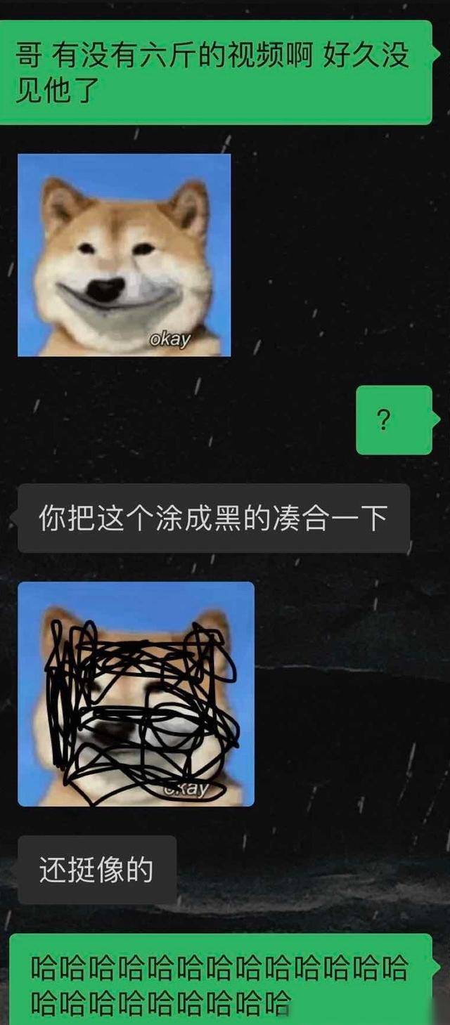 柴犬_微博_视频