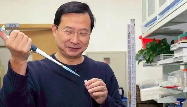批判张文宏的饶毅,竟然是核酸公司老板?