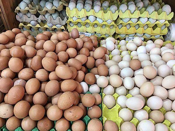白皮鸡蛋,绿皮鸡蛋三种,很多人认为红壳鸡蛋营养更高,真的是这样吗?