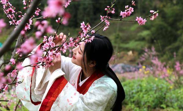 偶游四川五华山，误入桃花缘，88张图片，叫你挪不开你的眼