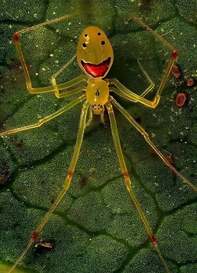 40张图片让人感到奇怪的恐惧_什么_东西_照片