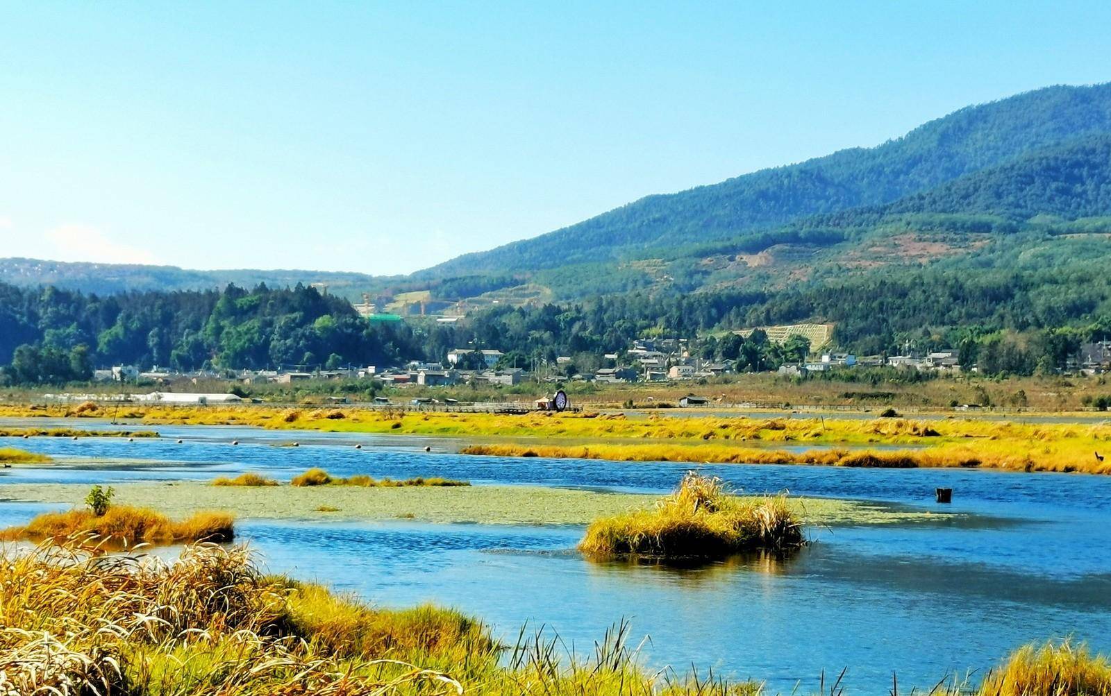 腾冲北海湿地确实奇异，水草根部交织长在一路，浮在水面好像草岛