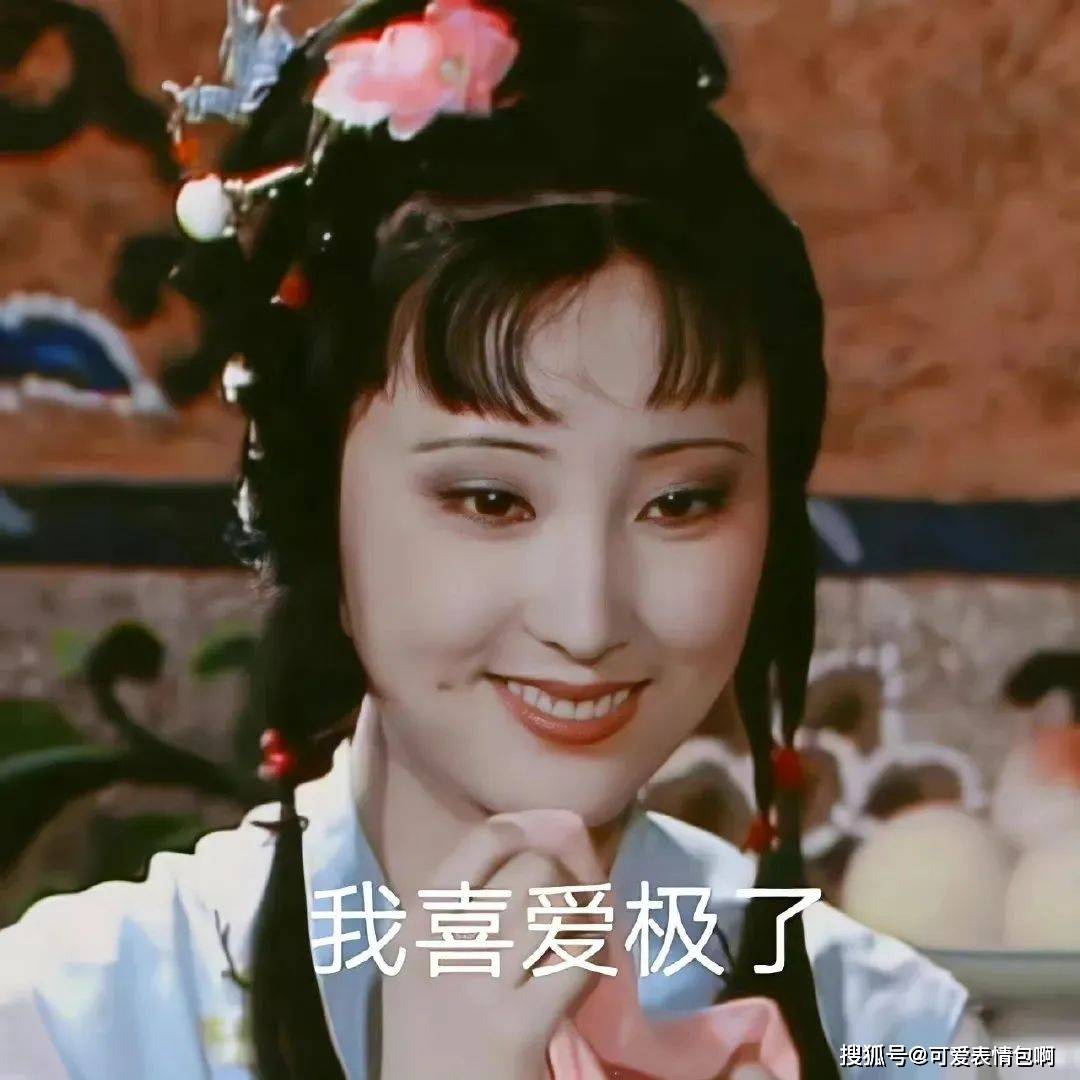 圣诞版奶龙&林黛玉发疯文学表情包合集