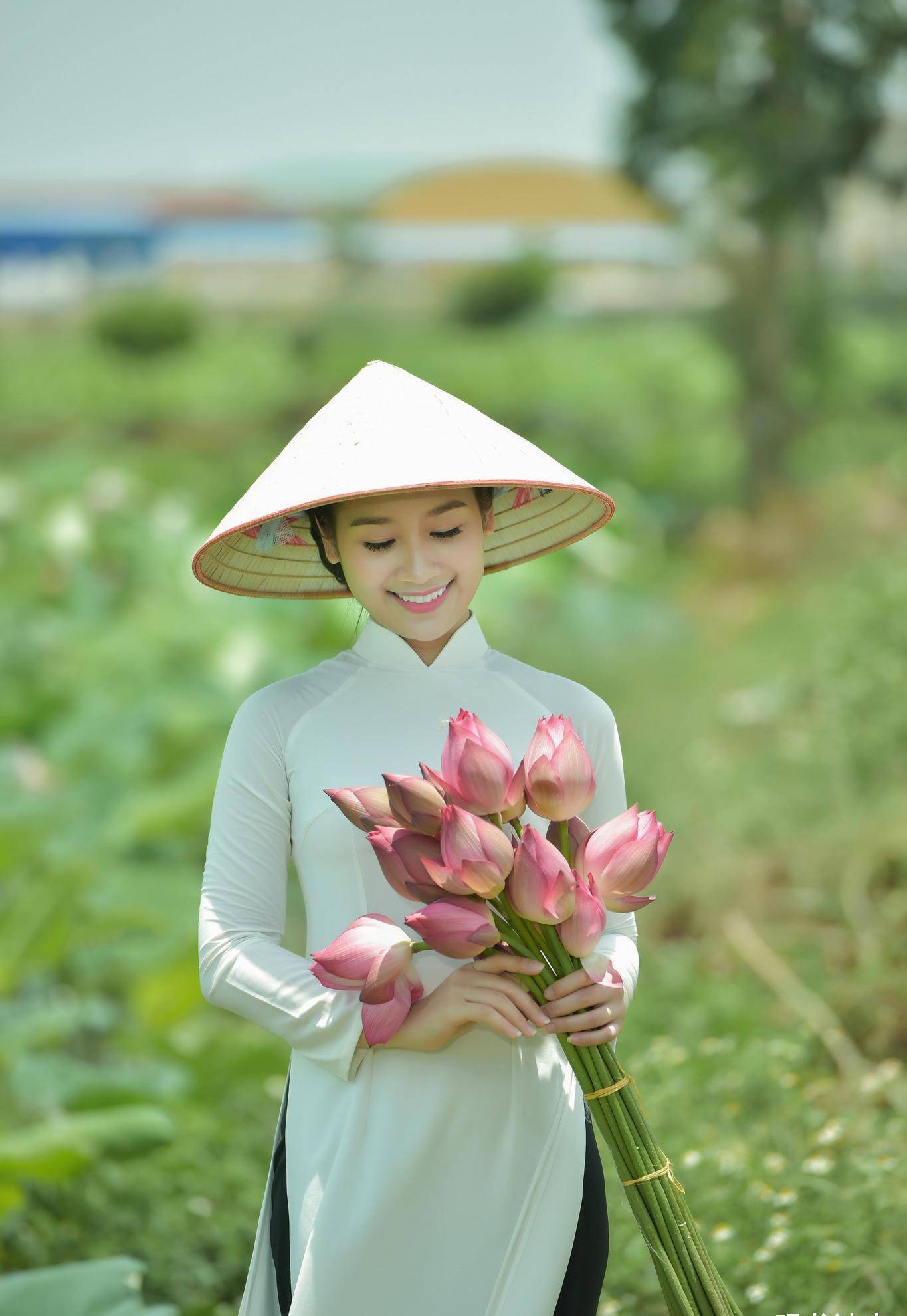 越南採蓮女,身著奧黛,手捧蓮花,清新淡雅很迷人_來自_詩經_樣子