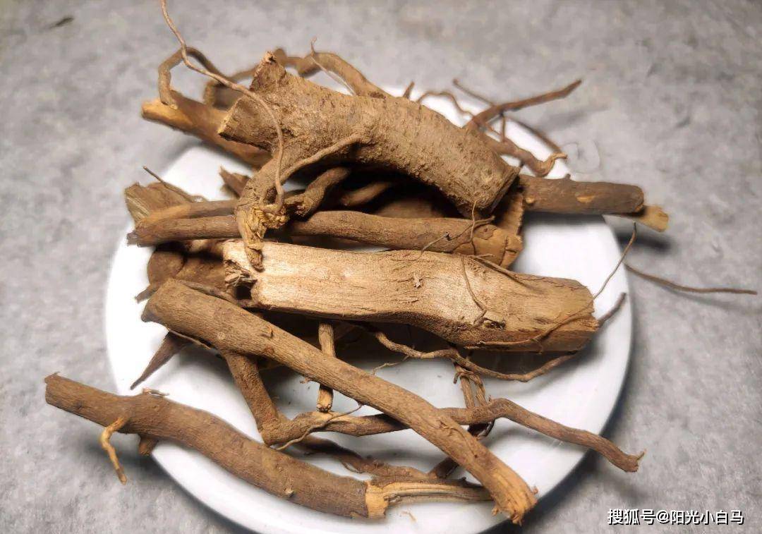 小寒进补,推荐这款福建特有的姜子根鸡汤,营养滋补,百喝不厌_草根