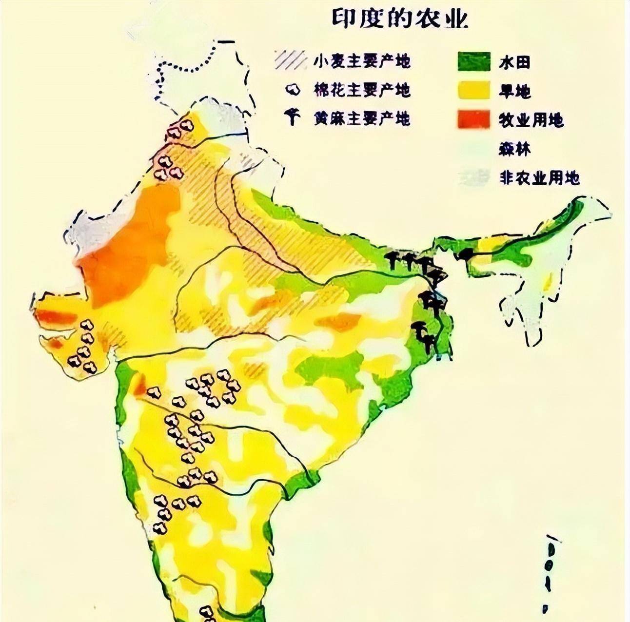 印度的农作物分布图图片
