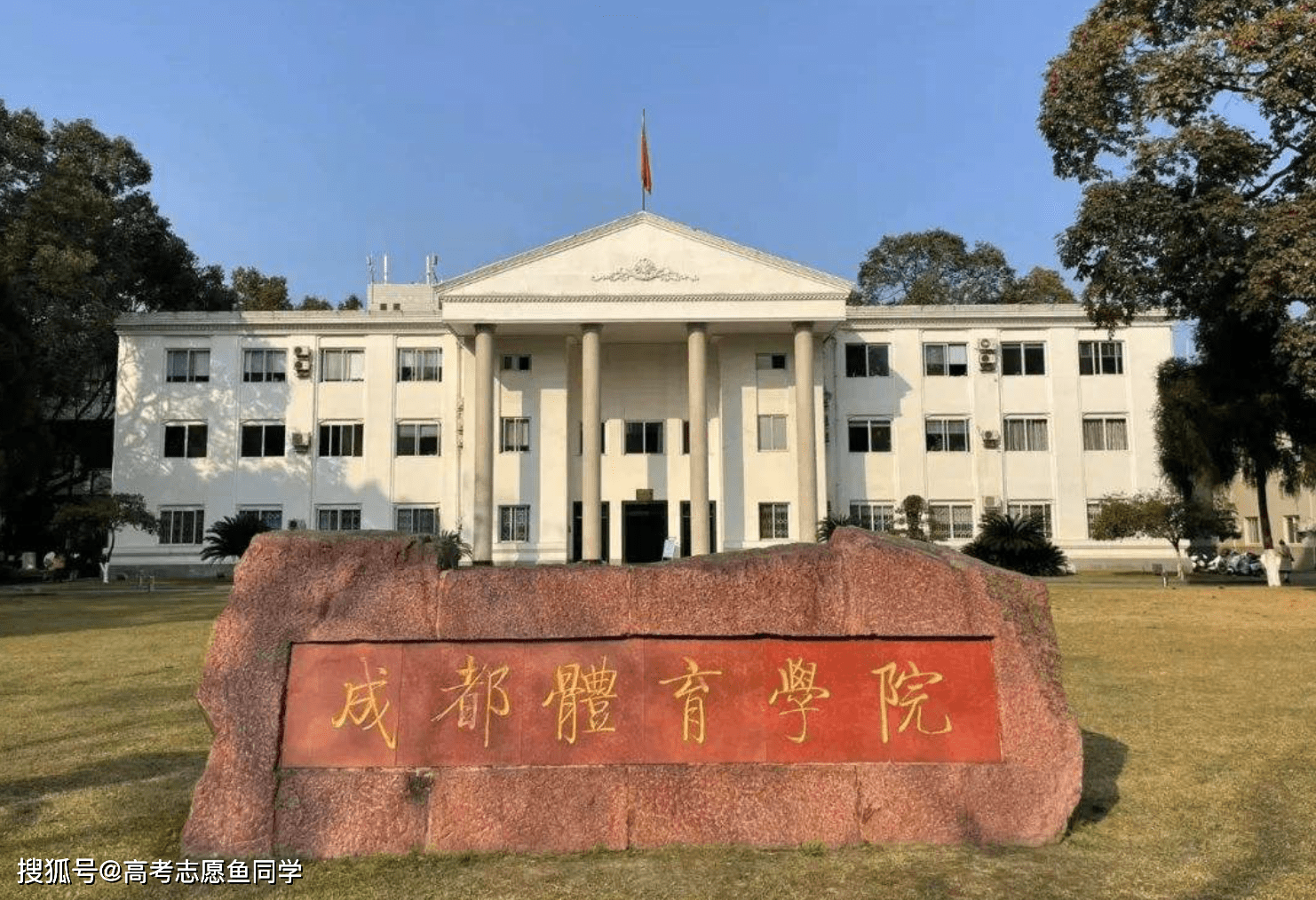 实力最强的5所"体育类大学",非体育生也能报考,适合的专业也很多_院校