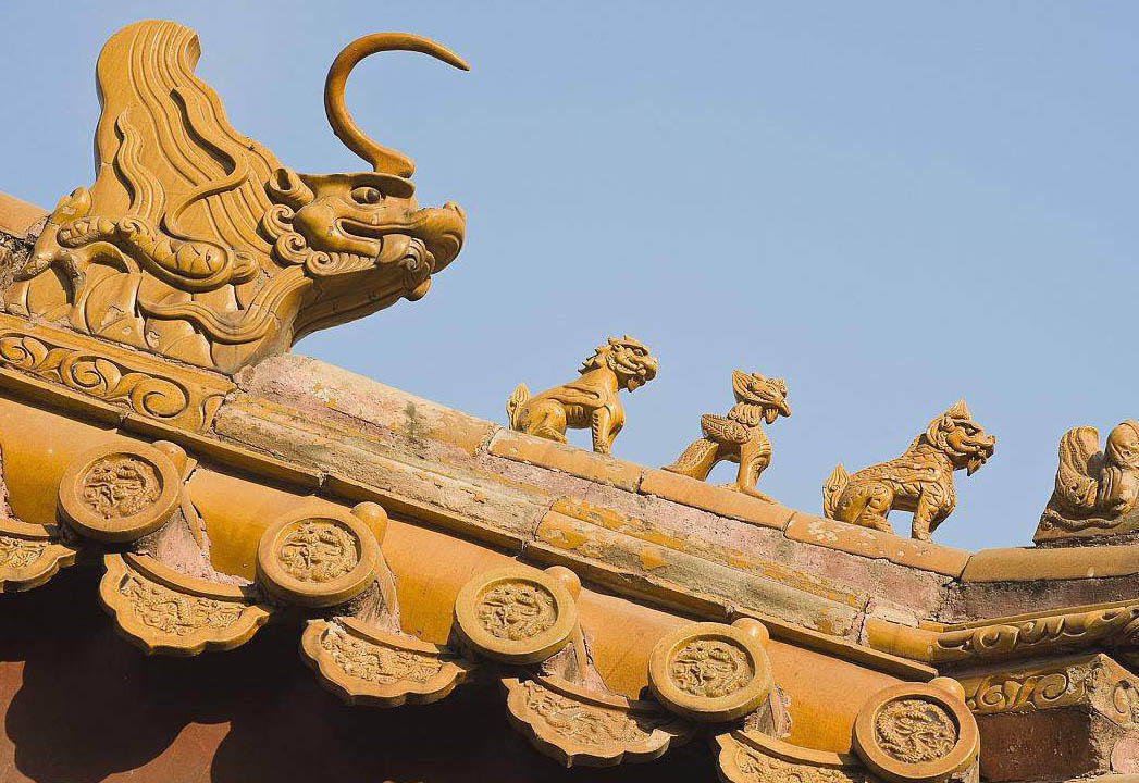 故宫存在600多年了,屋顶却很少见到鸟粪,原因大抵如此_时候_鸟类_设计