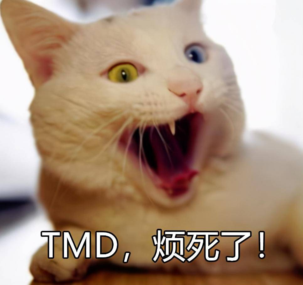 哇,这些画面越看越气,真的烦死了!主人千万别看我!是碗先动的手!