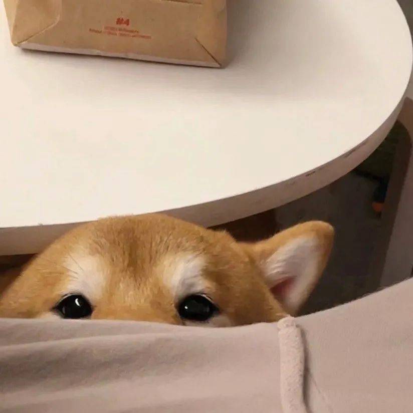 头像| 这组微信头像太可了_cr_lemondog_一个人