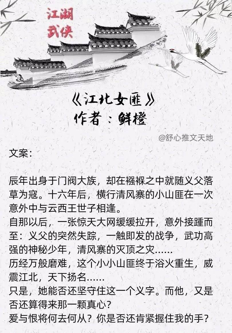 《江北女匪》作者:鲜橙虽然作者和文章都很冷门,但是文笔真心好,小
