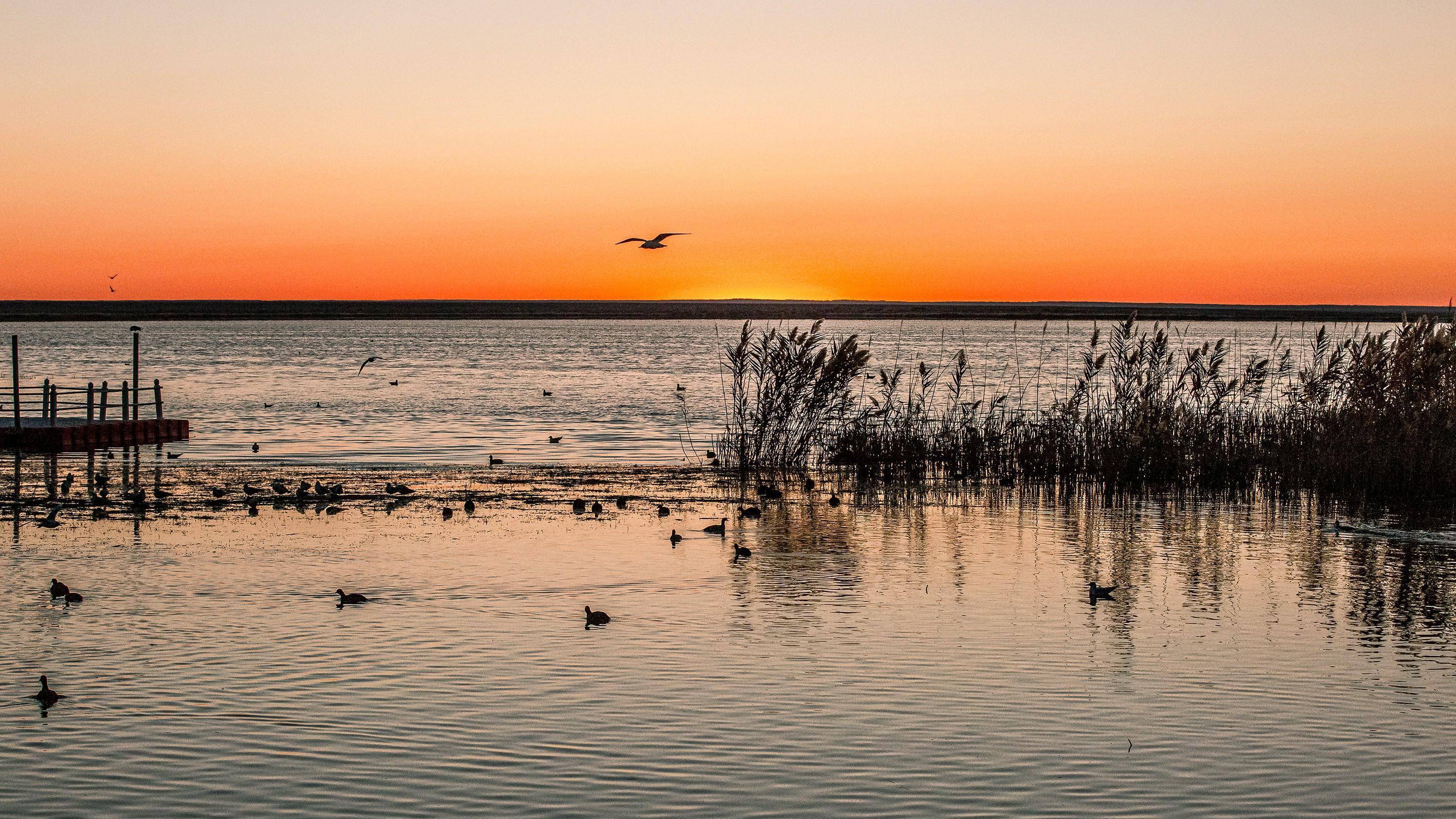 额济纳旗胡杨林,怪树林,黑水古城,张掖等周边景区的开放,给居延海景区